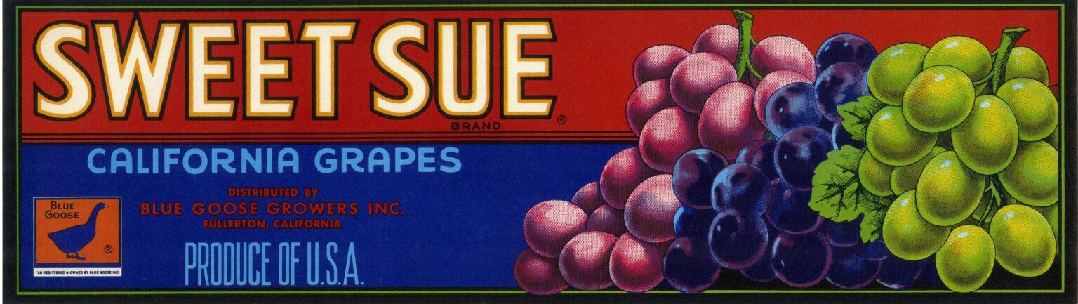 Sweet Sue Sweet Sue